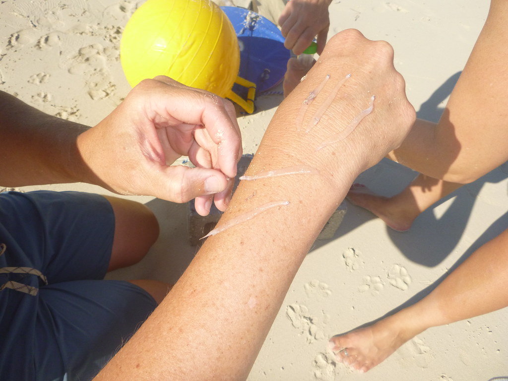 Preserving Species: Promoting Sustainable Practices through Balloon-Assisted Conservation