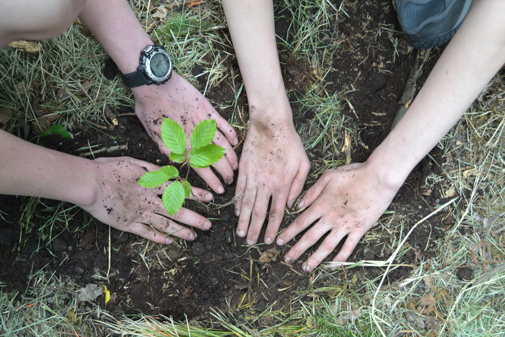 5.‌ Conservation Beyond Safari: Volunteer Programs for Tree-Planting and ‌Conservation in Maasai Mara