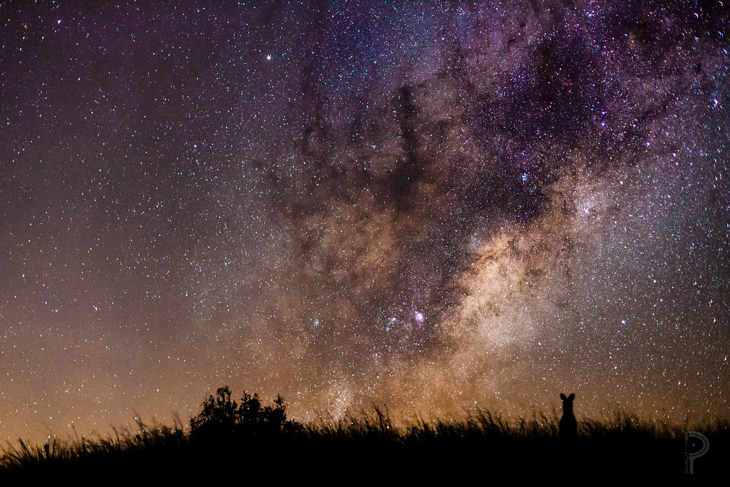 4. Astronomical Delights: Expert Tips for Optimal Stargazing during Nighttime Balloon Flights in Maasai Mara