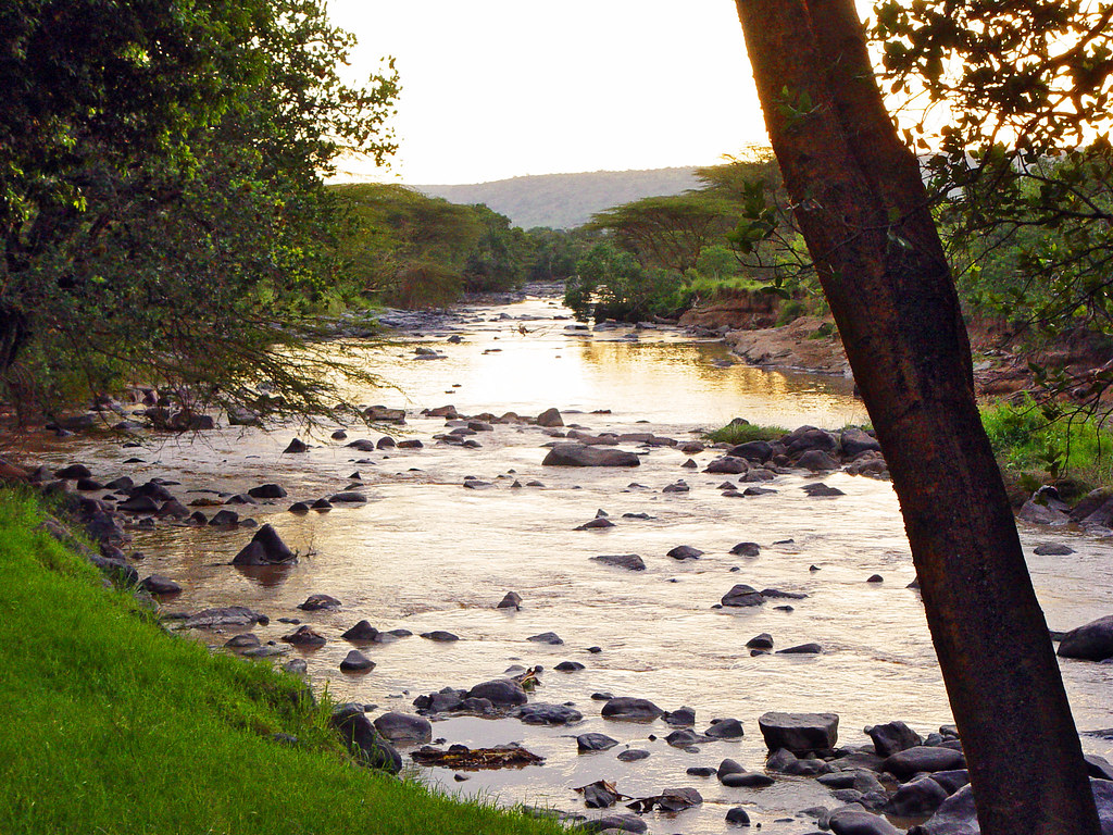 An Adventurer's Guide to Crossing the Mara River