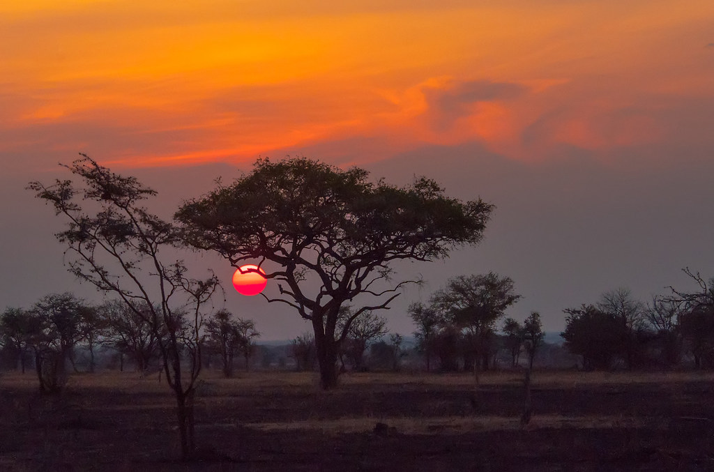 Discovering the Serengeti's Rugged Riverbanks and⁤ Waterholes on Horseback