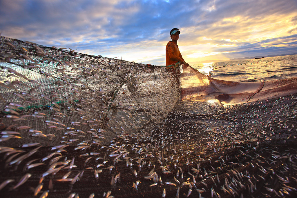 5. Fishing ‍Regulations and Guidelines: Responsible Angling Practices in Maasai Mara