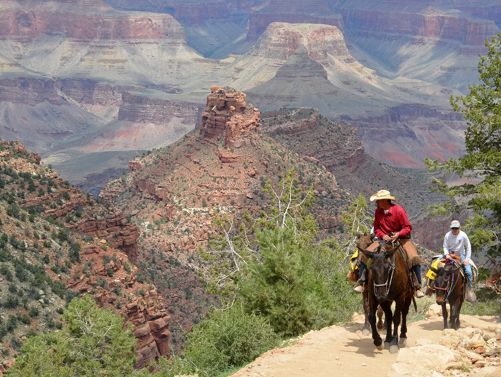 3. From the Mara Plains to the Big Five: Assessing the Experience and Training of Horseback Safari Guides