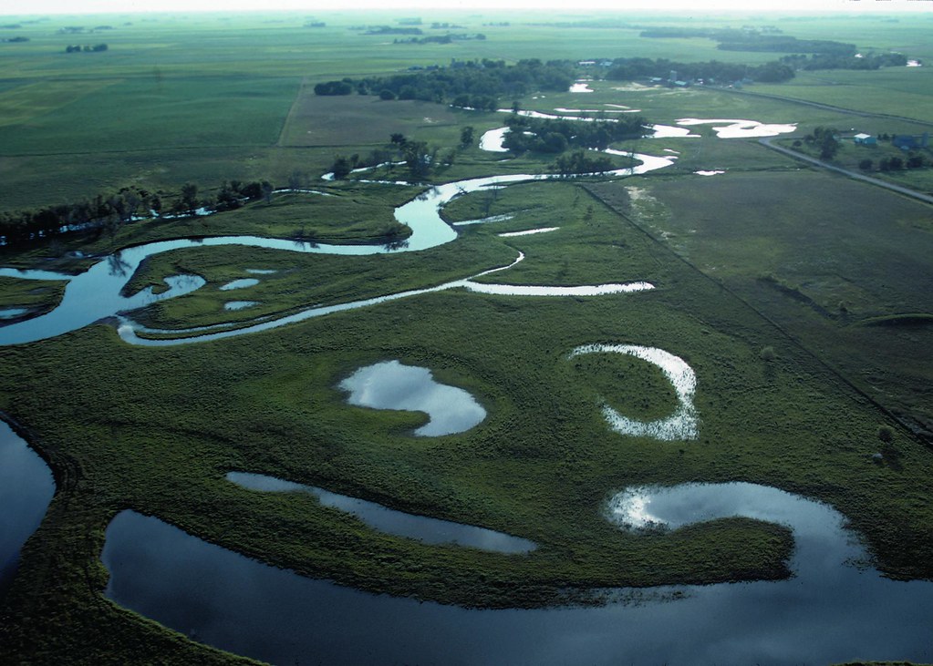 The Importance of the Riverine Ecosystem: Understanding Its Role in Sustaining Life in Masai Mara