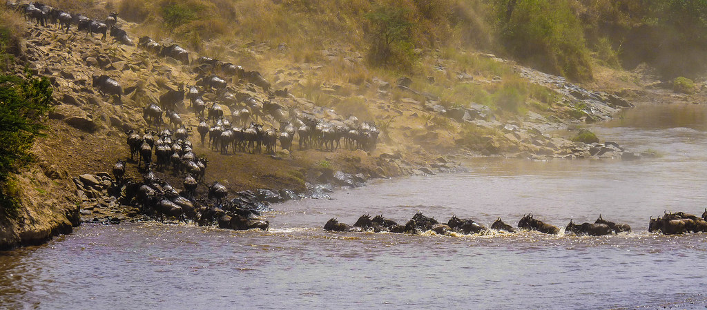 2. Evaluating the Wildlife Encounters: Safeguarding Tourists during Maasai Mara River Safaris