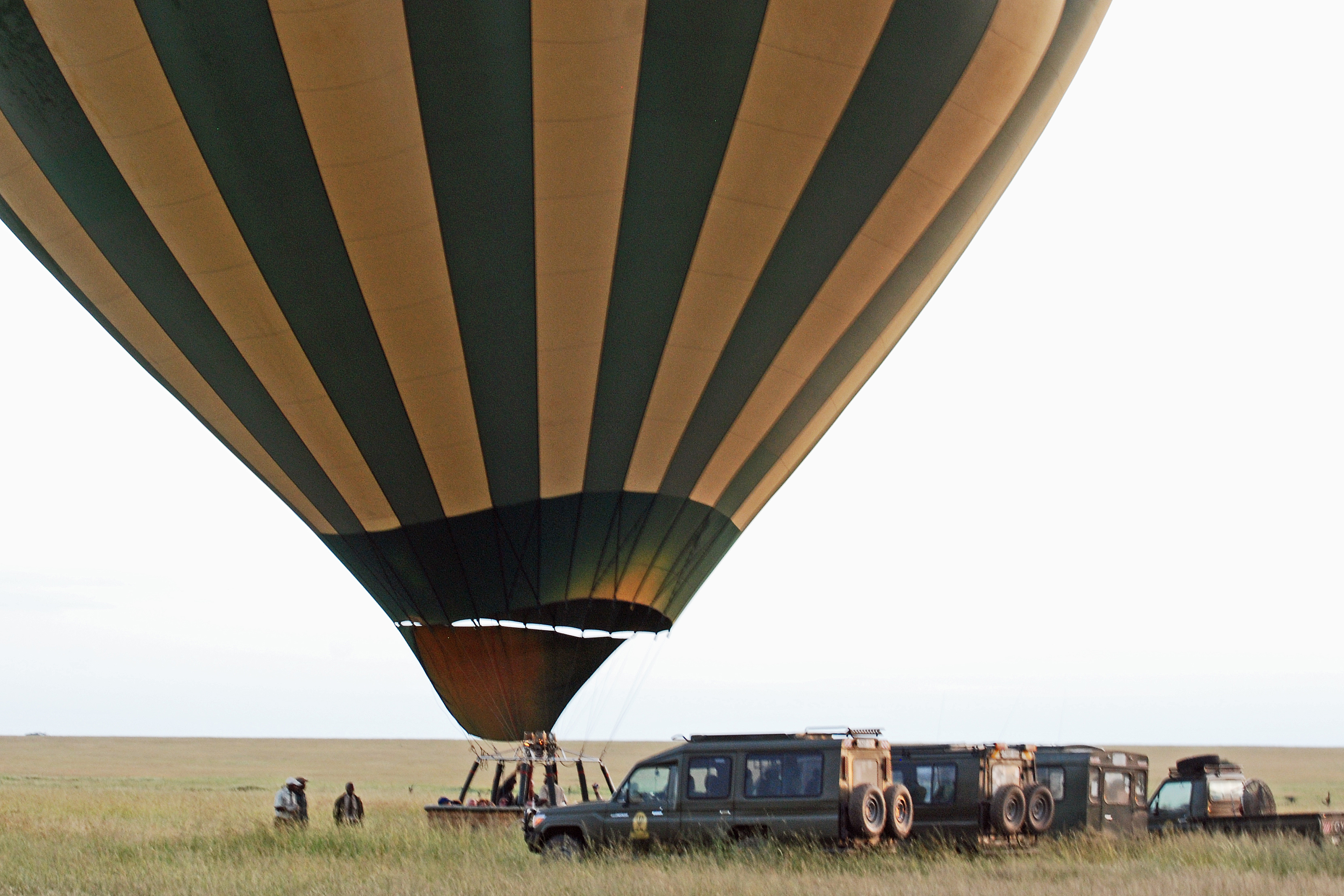 Understanding the Policies: Bringing Your Own Snacks and Beverages for a Balloon Safari in Maasai Mara National Park