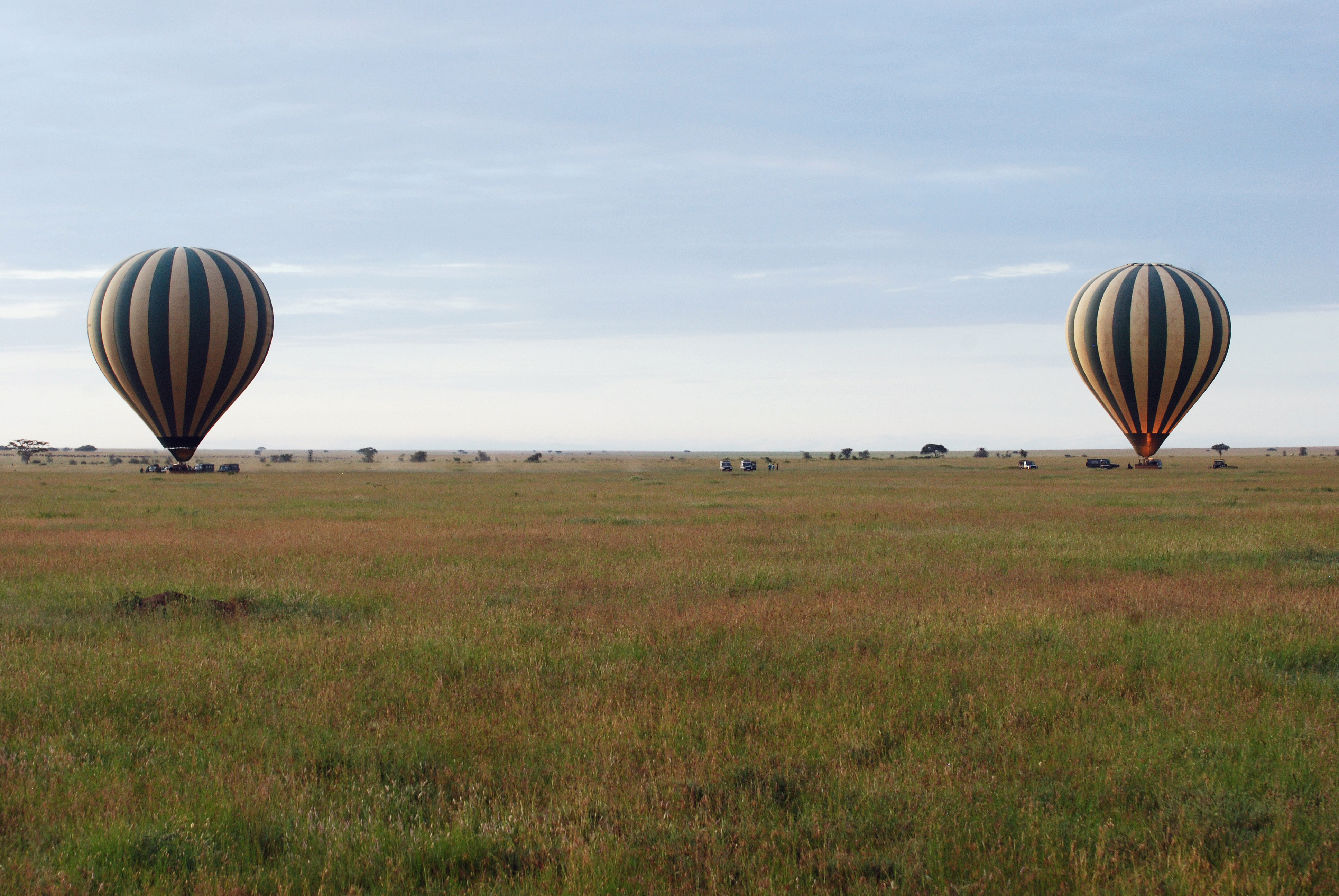 Tips⁣ for Collaborating with⁤ Local Communities in⁣ Selecting Balloon Safari Takeoff Locations in Maasai Mara