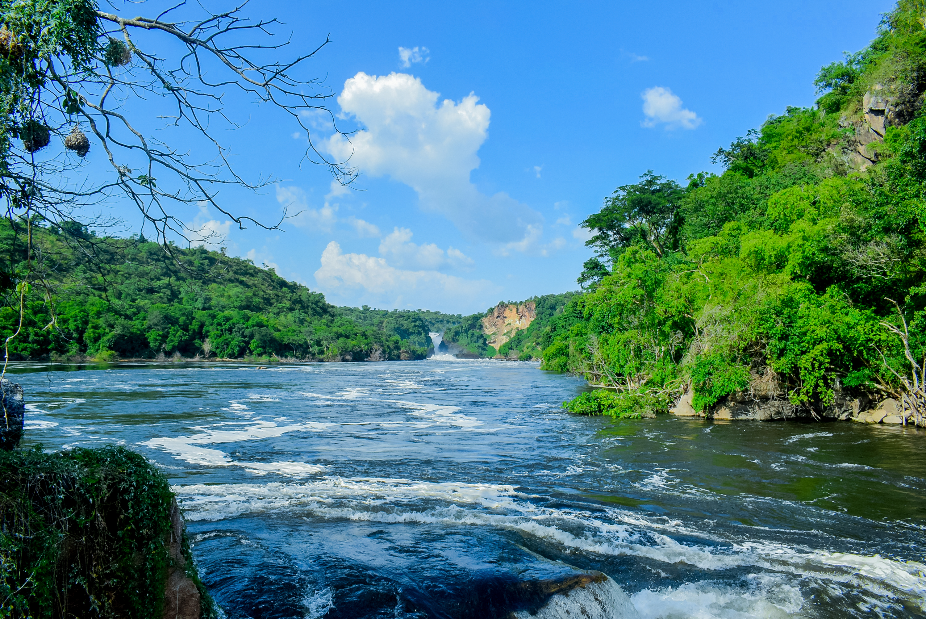 1. Exploring the Spectacular River Ecosystems of Maasai Mara: The Perfect Blend of River Safari and Game Drive