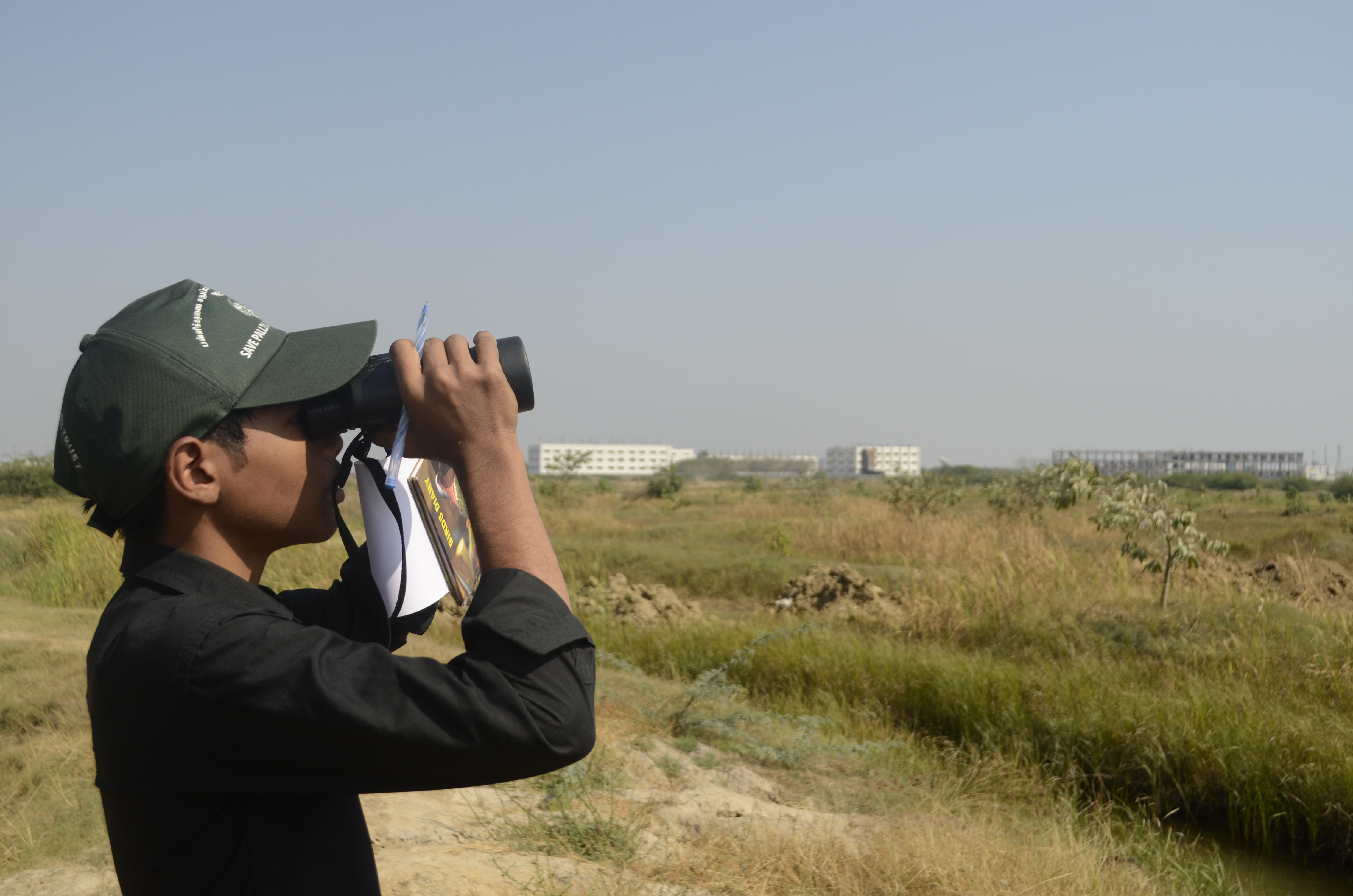 Tips for Responsible Birdwatching and Photography of Fischers SparrowLark in ⁢Masai Mara