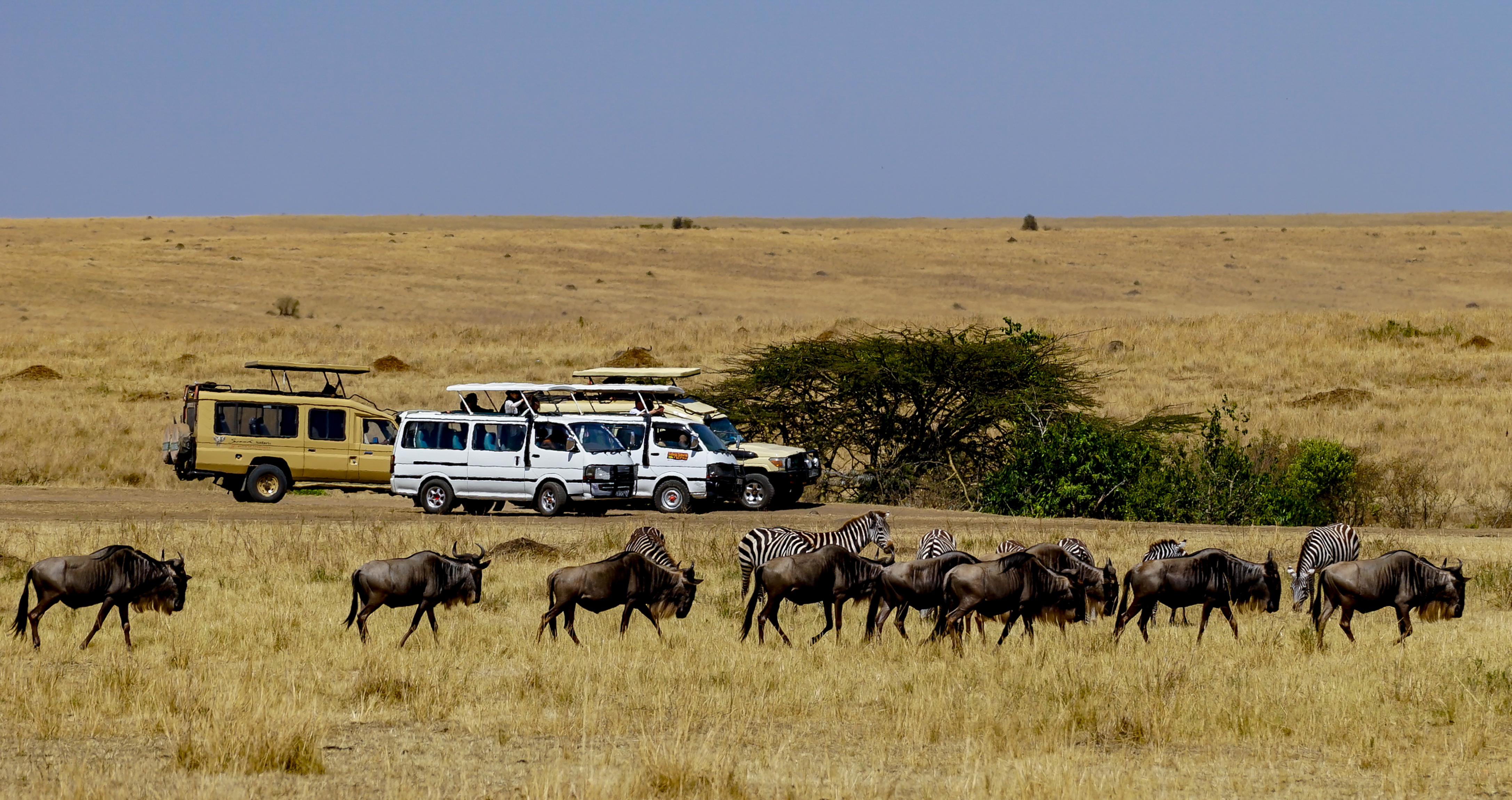 Encountering Wildlife Researchers and Conservationists during a River Safari in Maasai Mara: A Unique Opportunity to Learn and Contribute