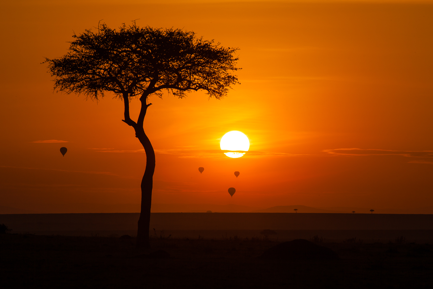 The Unique Wildlife of Maasai Mara National Park