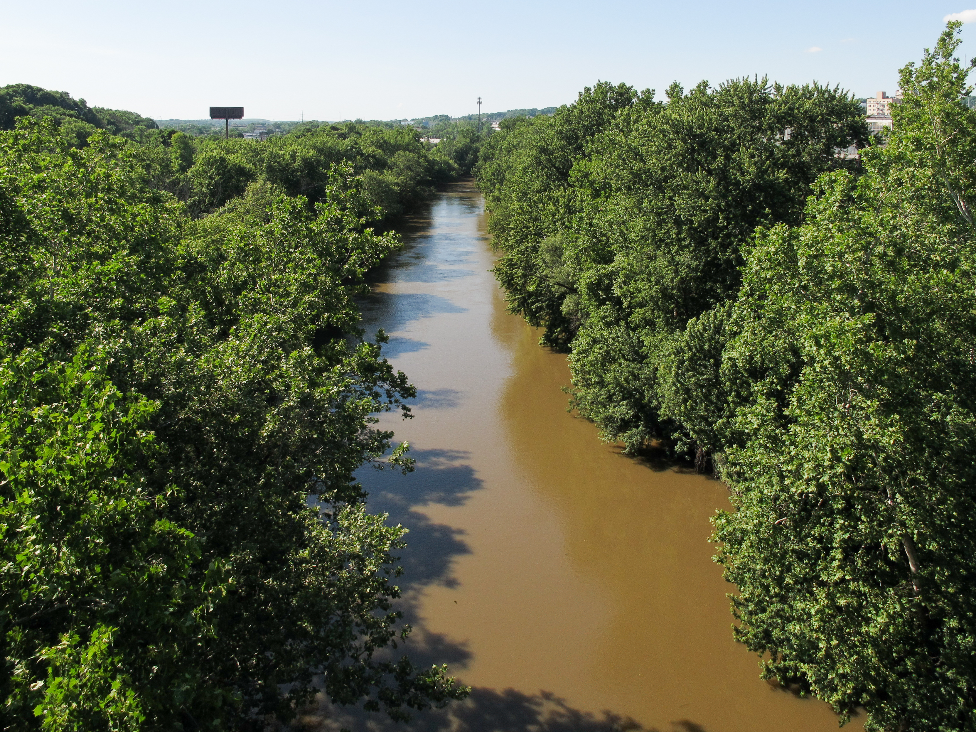 3.⁣ A ‍Closer Look at ⁢the River Ecosystem: Prime‌ Spot for Witnessing⁤ Animal Reproduction