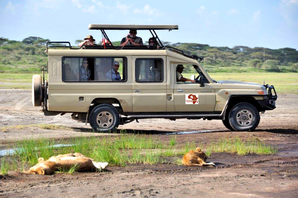 Ensuring a Memorable Safari: Factors to Consider When Renting Equipment for Game Drives in Maasai Mara