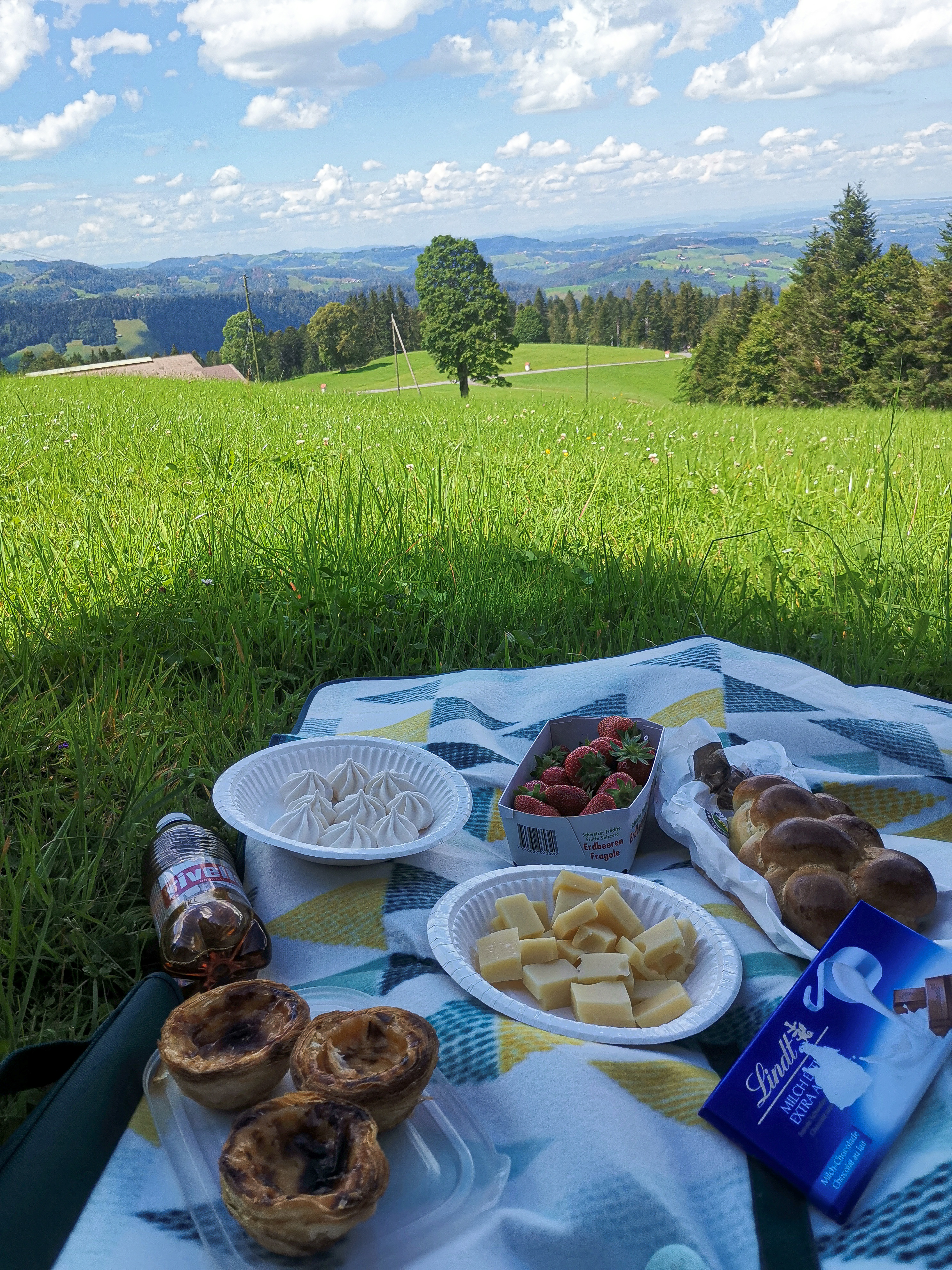 Making the Most of the Experience: Creating a Personalized Picnic with Your Own Snacks and Beverages