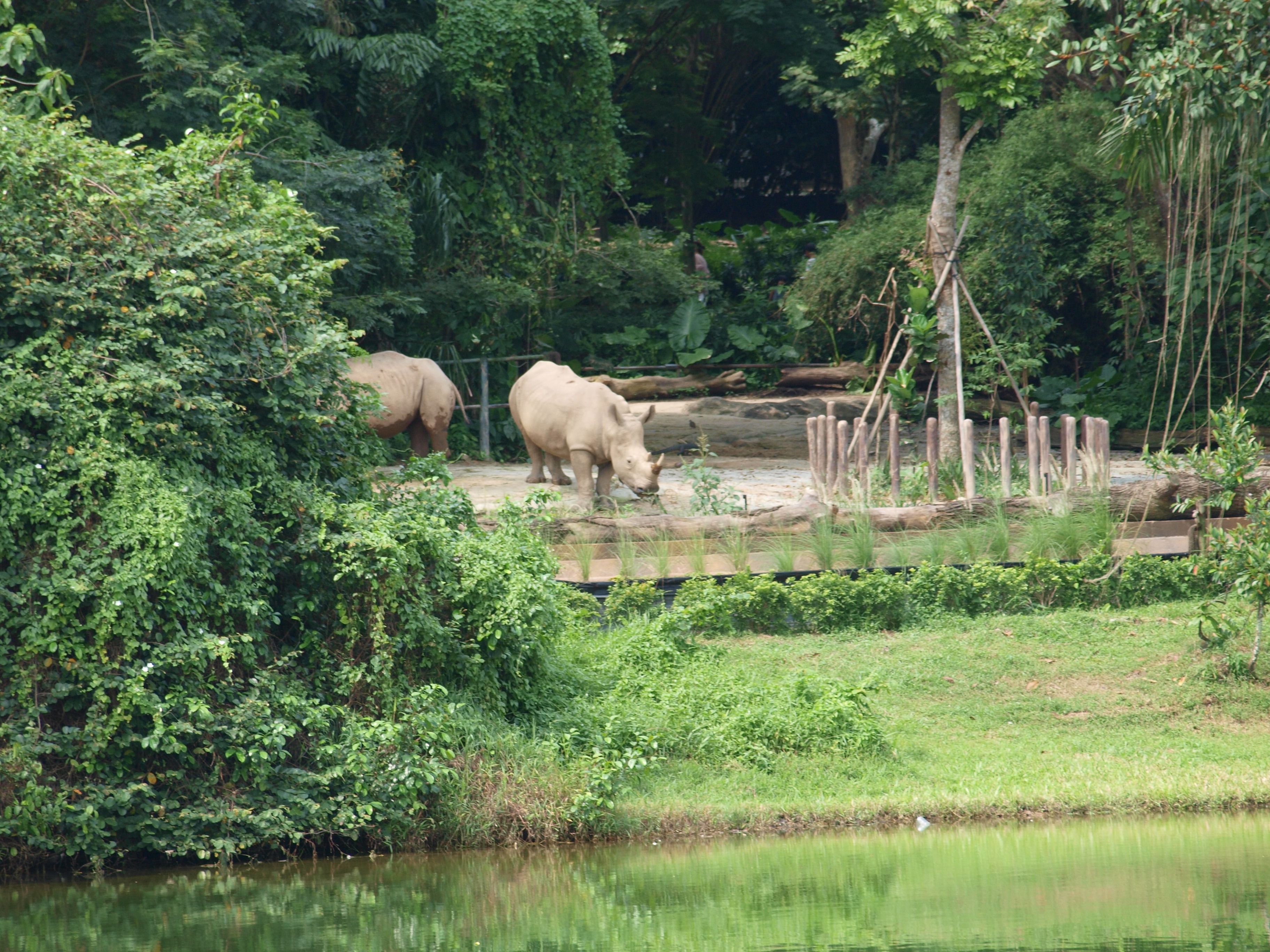 Choosing the ‍Right⁣ Tour Operator: Expert Tips for a Memorable ​River Safari