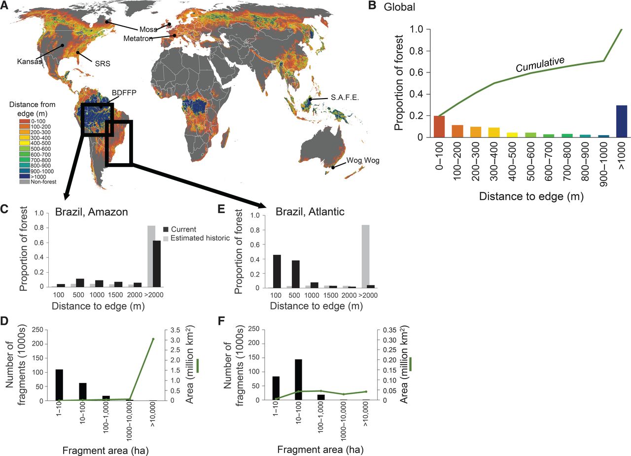 1. Habitat Fragmentation: The Impact of Human Development on Wildlife in Maasai Mara