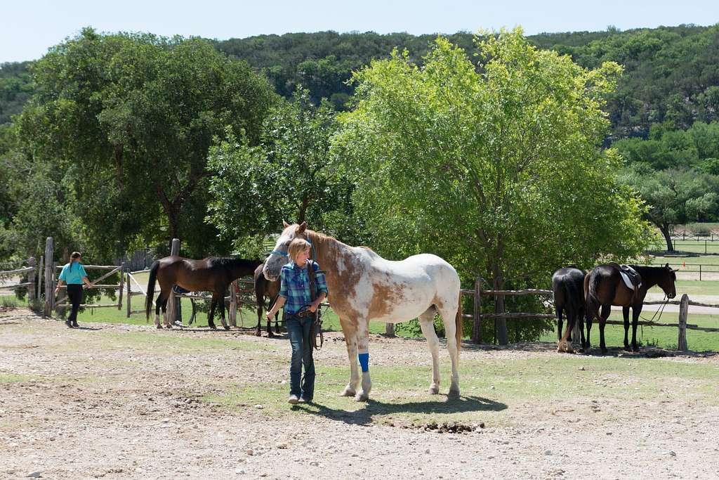 Unleash Your Inner Adventurer: Horseback Camping in Maasai Mara