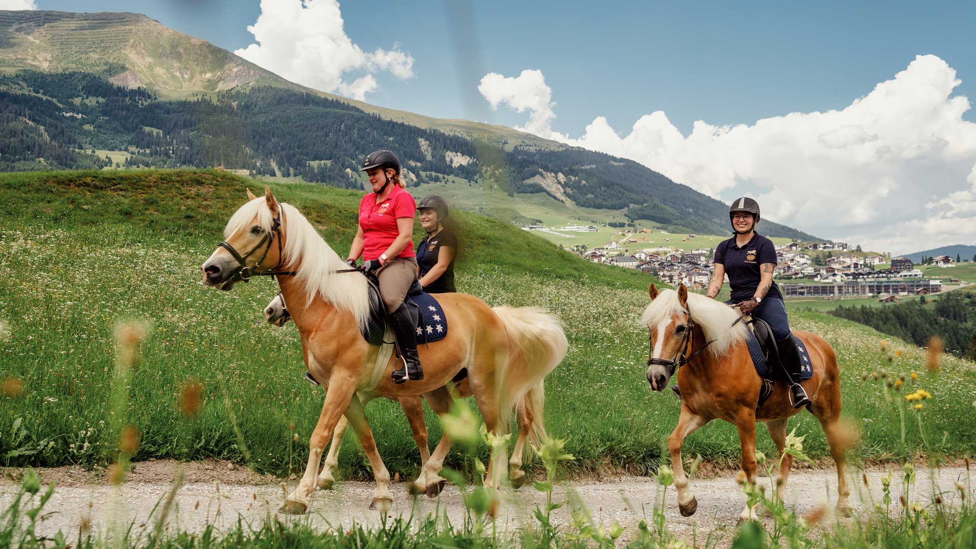 The Training Methods Employed for Horseback Safari Horses ‍in Maasai Mara National Park