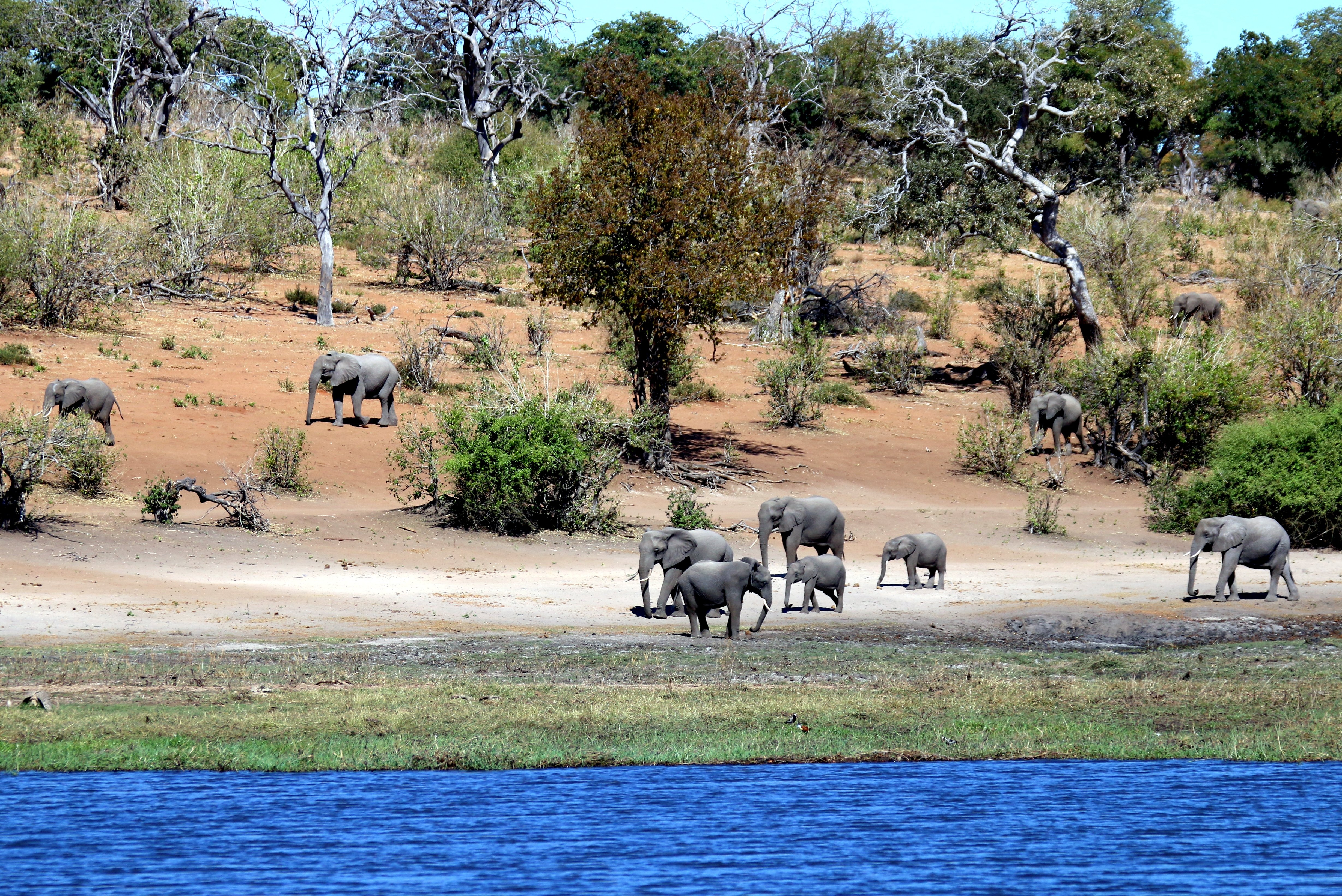 3. Protecting Yourself from the Elements: Recommended Gear for a River⁤ Safari Adventure