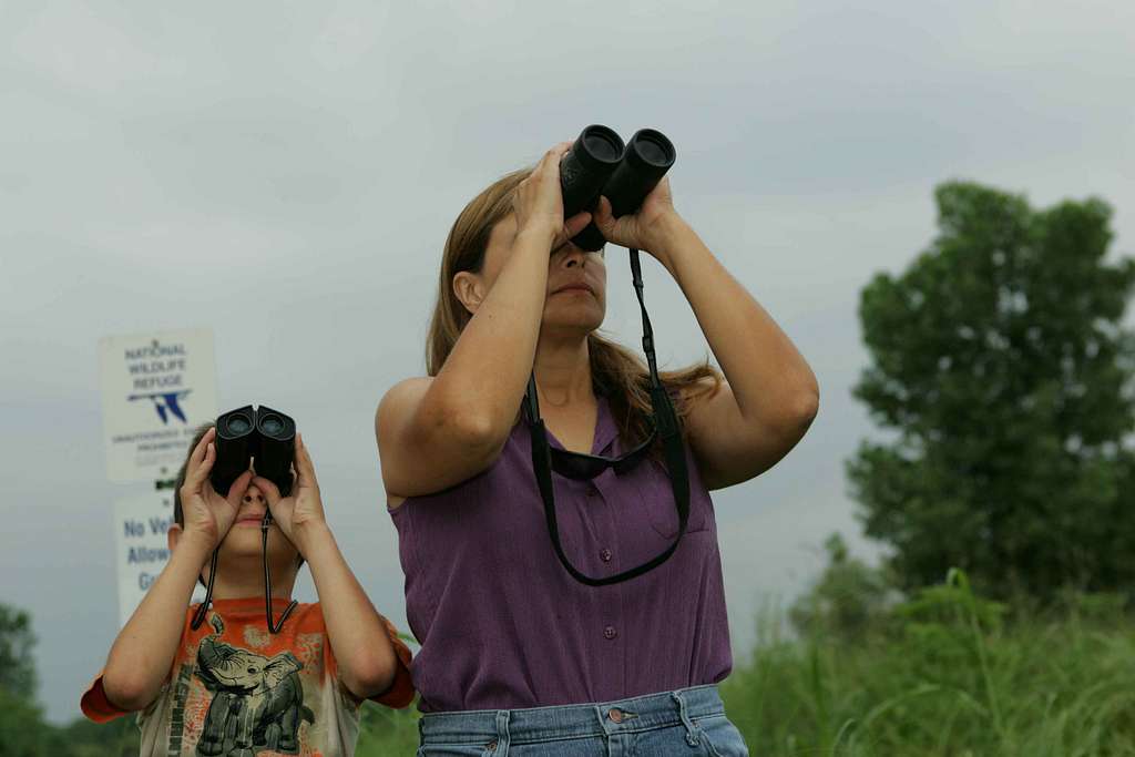 Uncover a World of Avian Wonders: Birdwatching⁤ on ⁢Horseback in Maasai ‍Mara