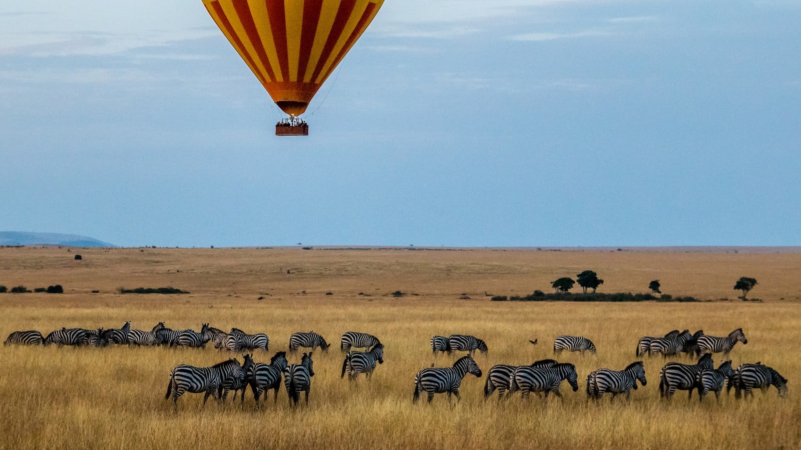 Unleashing Artistry: Unforgettable Photography Safaris in Maasai Mara's Scenic Rivers