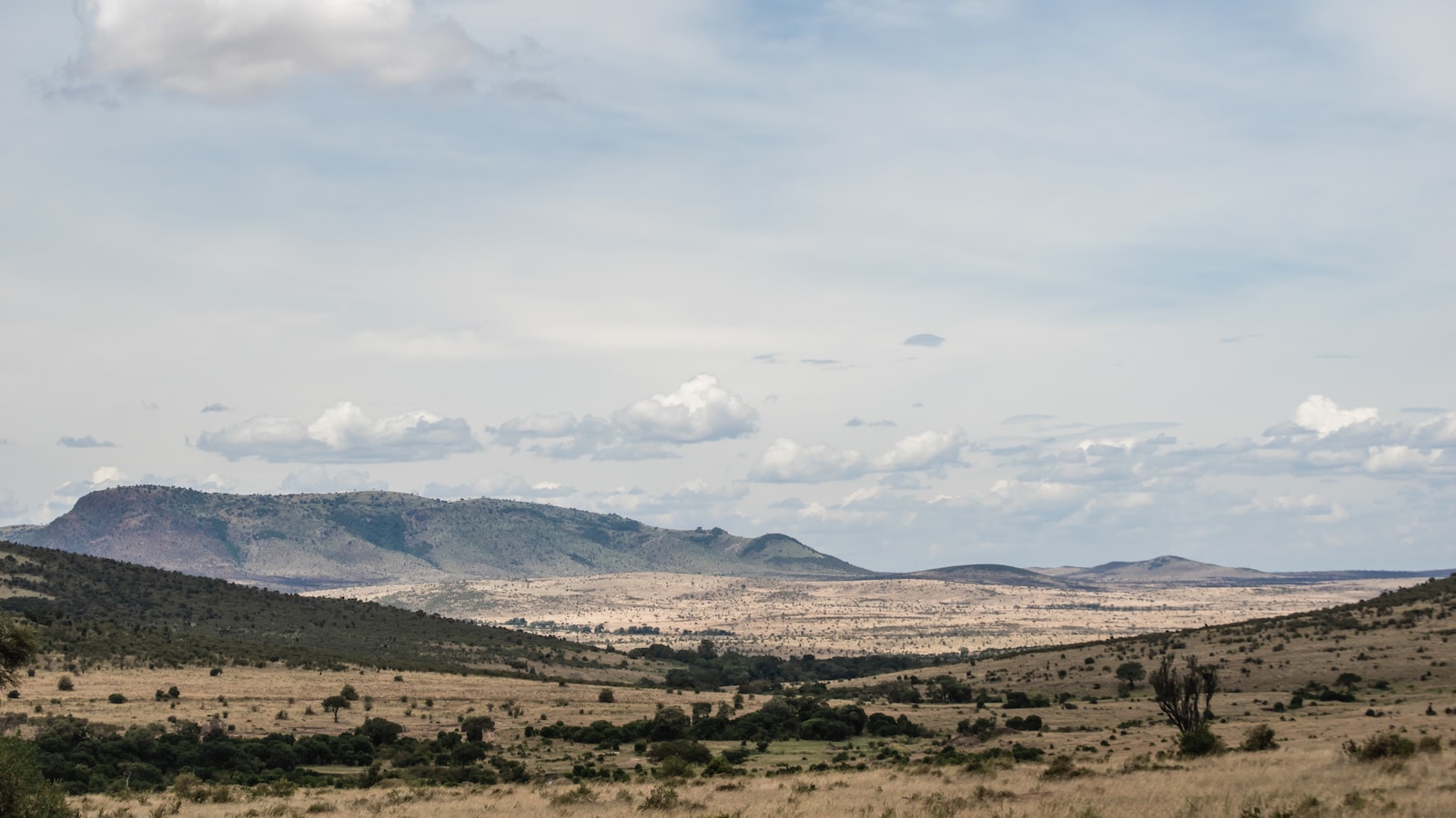 6. Building Resilience: Preparing for Emergencies and Enhancing Safety during Game Drives in Maasai Mara