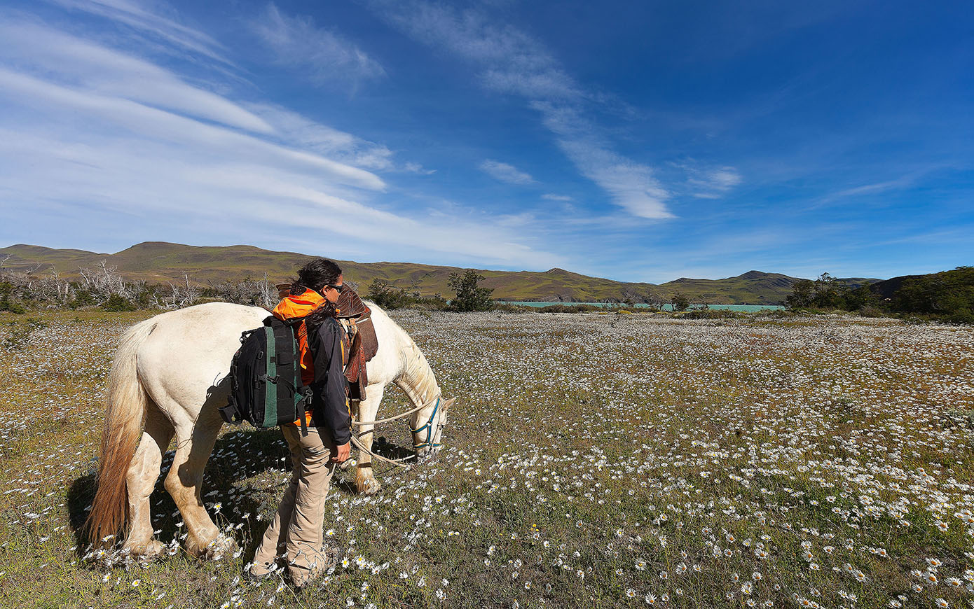 Equipment provided for a horseback safari in Maasai Mara National Park: